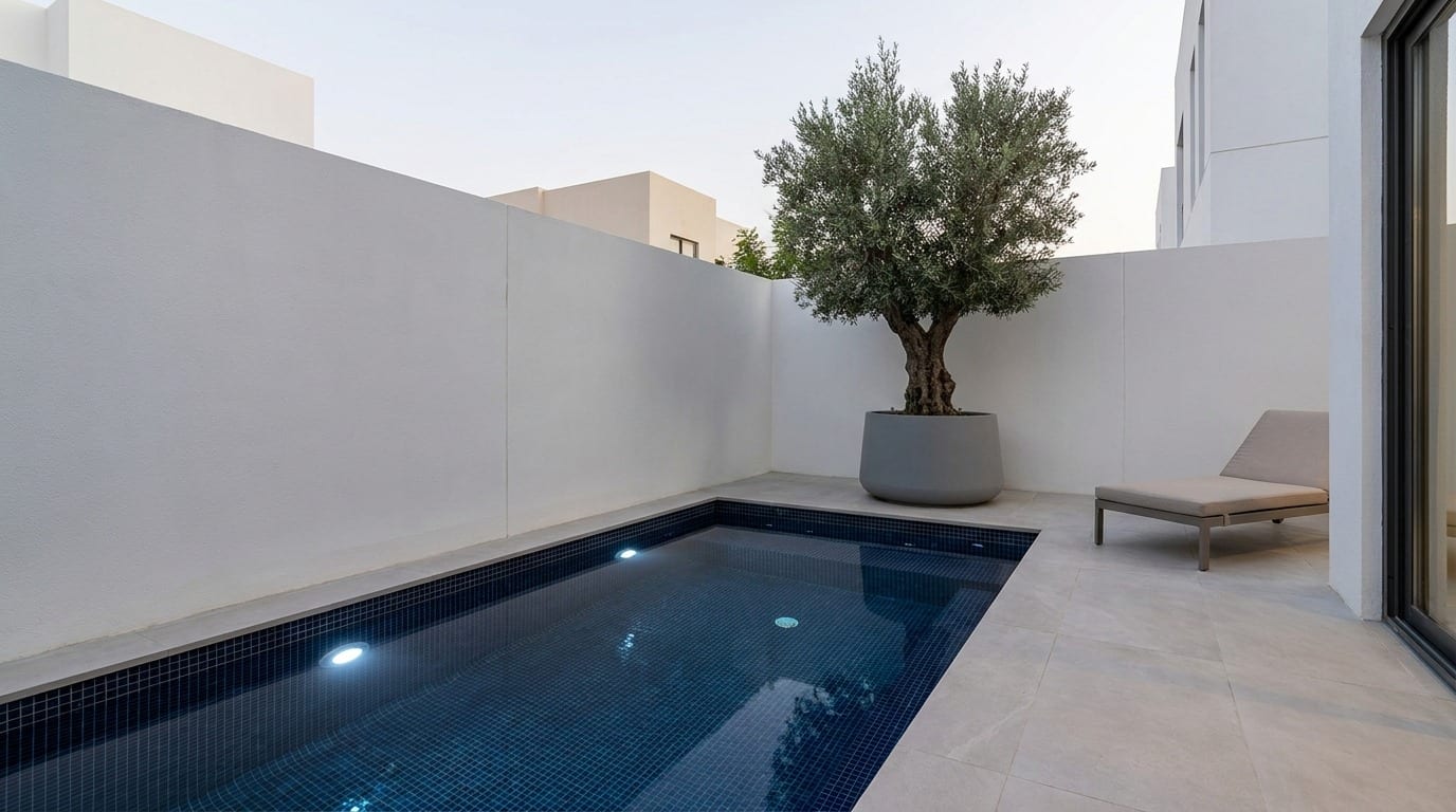 Plunge Pool Concept — pool concept render, UAE villa